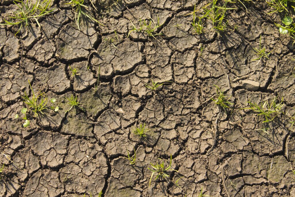 Climat, 1 PME sur 4 à risque, dans des zones vulnérables plus exposées à la faillite