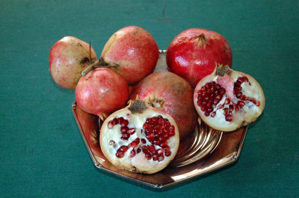 Cnr, protection « verte » du cœur contre les déchets de grenade