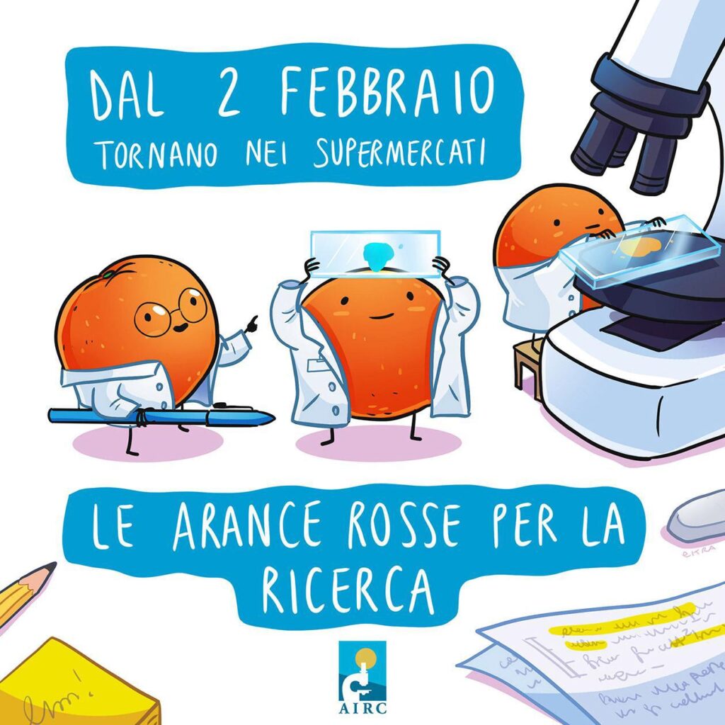 Journée mondiale contre le cancer, des oranges Airc pour la recherche dans 10 000 supermarchés