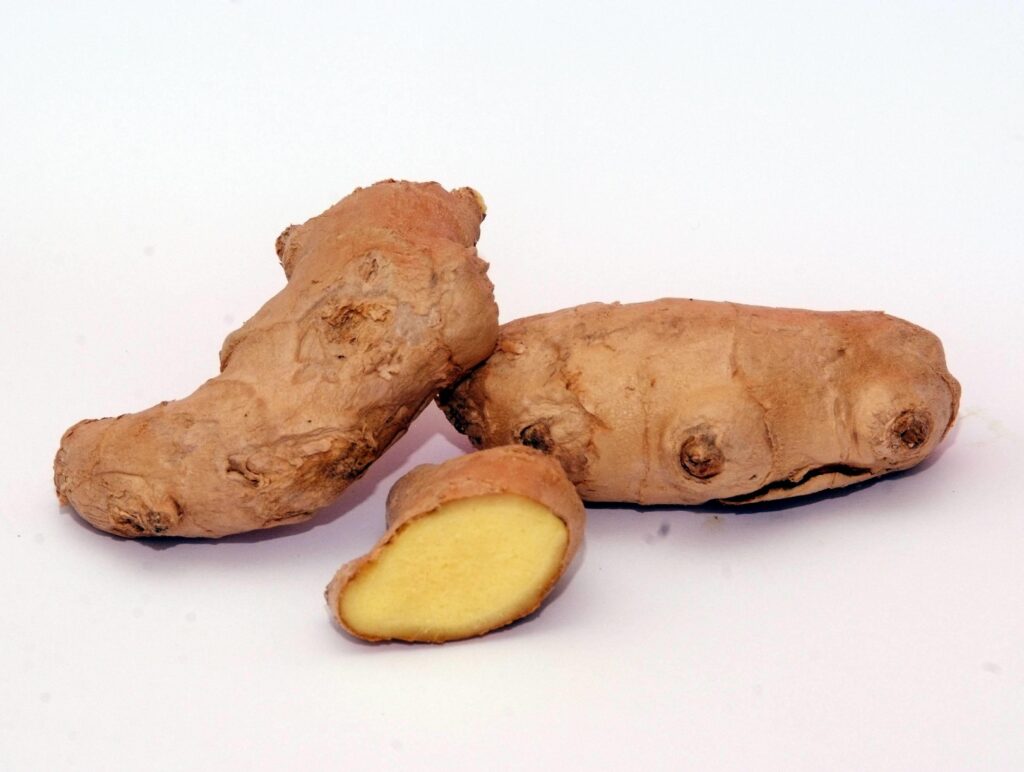 Lèpre, gingembre utilisé comme médicament à l'époque médiévale