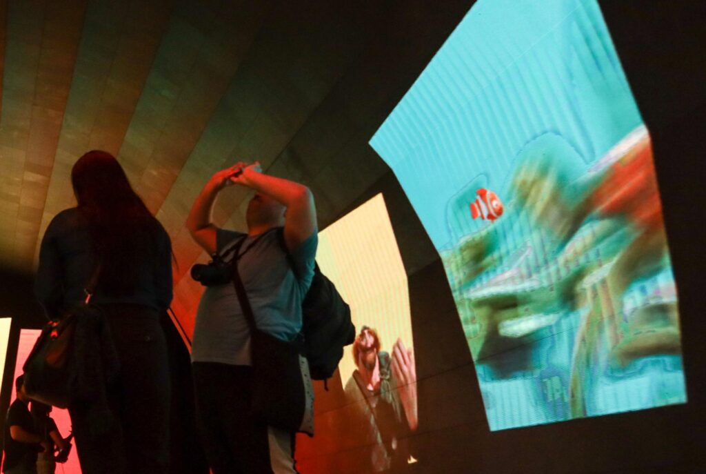 Nemo sait compter, le poisson-clown reconnaît les "ennemis" grâce à des rayures numériques : recherche