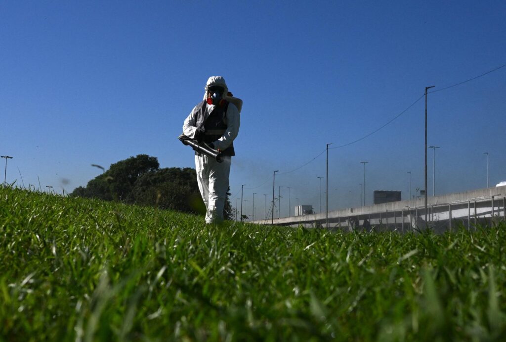 Dengue, OMS Europe : « Plus de 100 cas en Italie depuis le début de l'année »