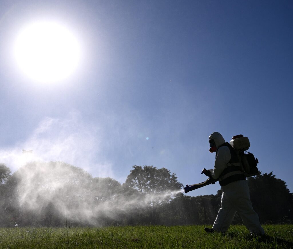 Dengue, couple infecté en Ombrie : "Ils avaient fait un voyage à l'étranger"