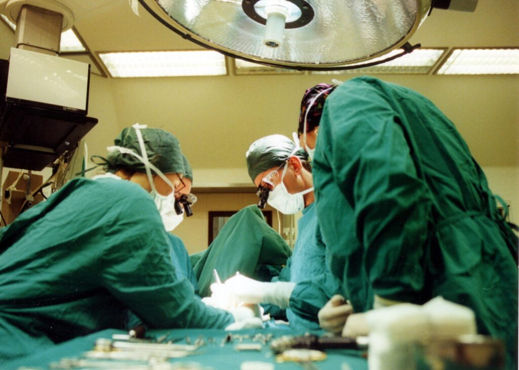 Gesualdo (UniBa) : « Il est temps de changer la loi sur les xénotransplantations en Italie »