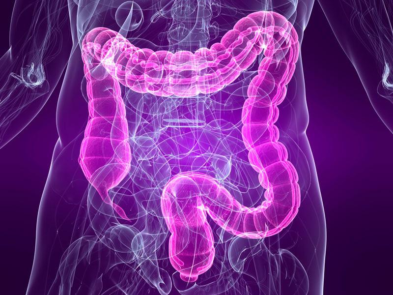 Médecine, syndrome du côlon irritable et système cardiovasculaire sont liés
