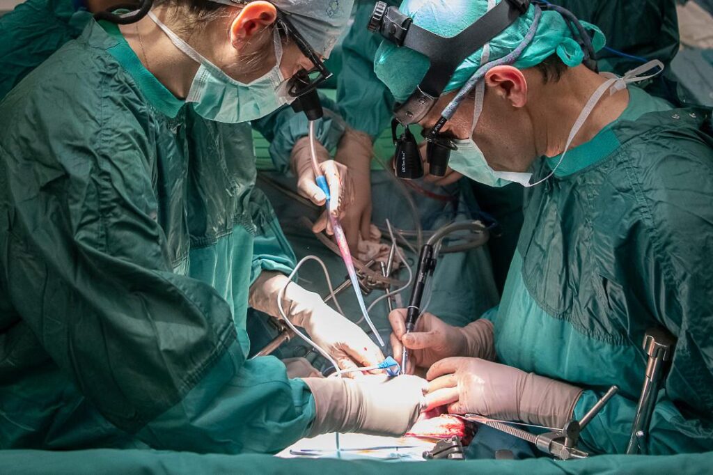 Transplantés, le deuxième patient reçoit un rein de porc aux États-Unis et a également subi une opération cardiaque