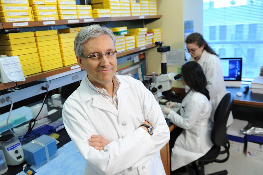 Un scientifique italien aux États-Unis : « Une aide fiscale pour ramener les médecins ? Il en faut bien plus »