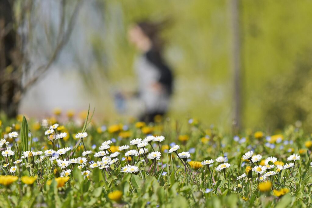Allergies, des vêtements colorés à la crème solaire, même la peau en souffre en été