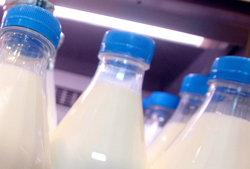 Grippe aviaire aux États-Unis : nouveaux contrôles sur le lait et ses dérivés, « pas de virus vivants et infectieux »