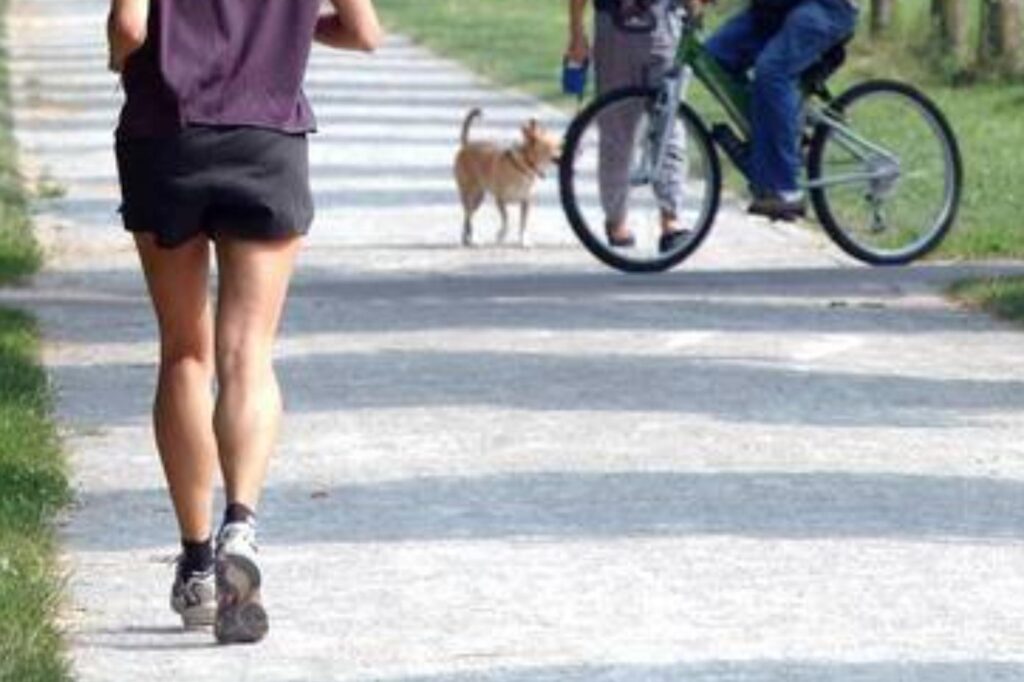 Médecin du sport, "la progressivité est le maître mot pour reprendre les activités de plein air"