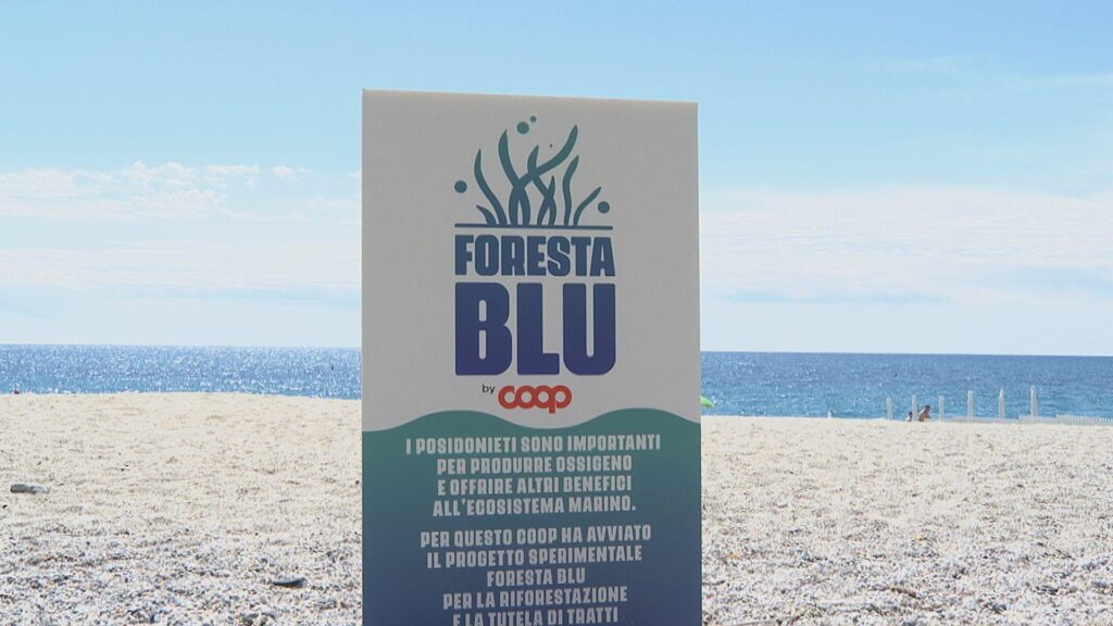 « Foresta Blu », une nouvelle campagne Coop pour protéger les prairies de posidonie, est en cours
