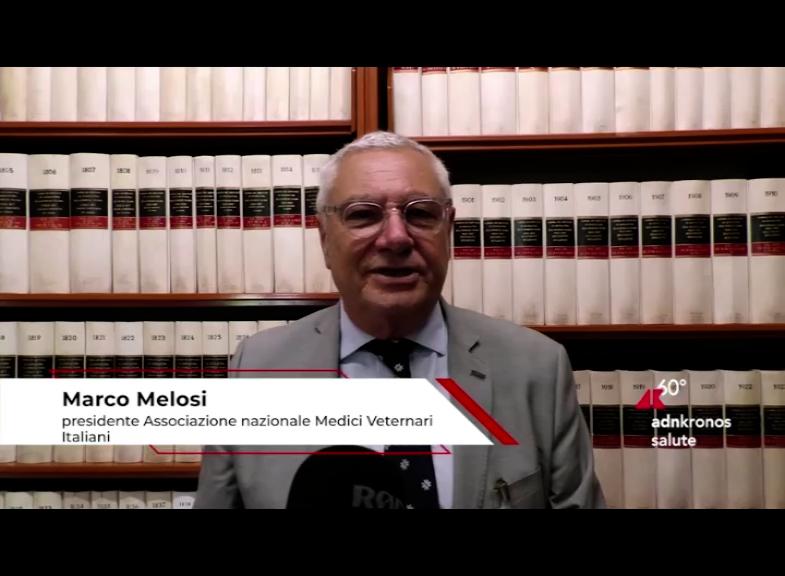Santé, Melosi (Anmvi) : « Le rôle de la médecine vétérinaire dans le domaine One Health est également important »