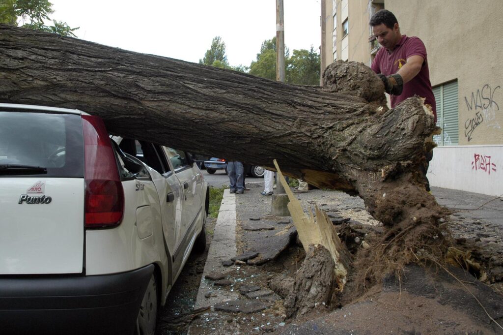 Arbres tombés à Rome, au moins deux responsables municipaux sous enquête