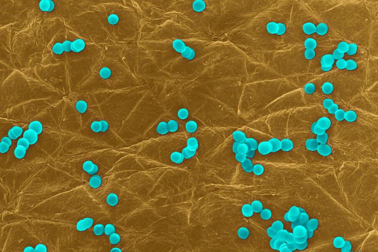 La « grippe intestinale » dure jusqu'à 5 ans, selon une étude