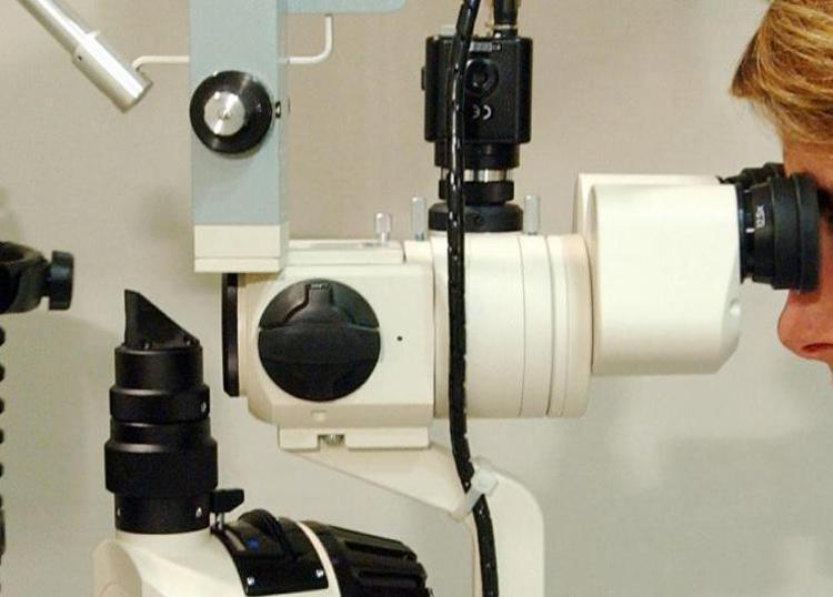 Maladies rares, la thérapie génique améliore la vision jusqu'à 10 000 fois, étude
