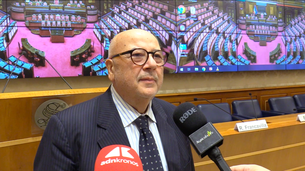 Cimmino Caserta (Plasmon): "Programme Académie de modèles partagés"