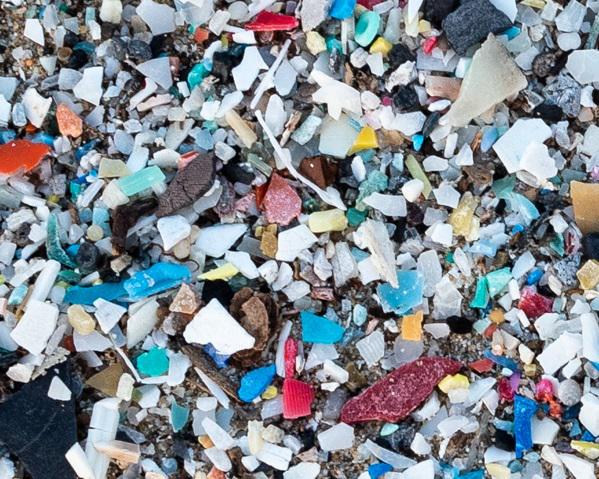 Des microplastiques également dans le cerveau, équivalents à un tiers de bouteille