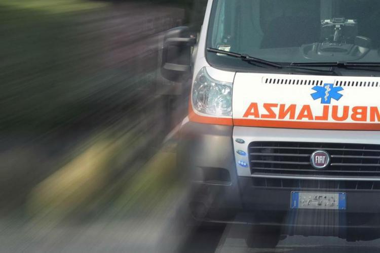 Choc anaphylactique, le stylo à adrénaline peut sauver des vies : "Il faut l'utiliser immédiatement"
