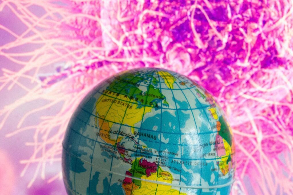 Covid, OMS : "Le virus circule et évolue, le XEC grandit mais d'autres variants apparaissent"