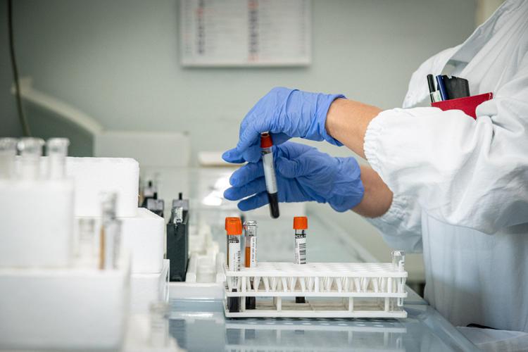 Maladie du Congo, OMS : « 891 cas de virus, paludisme et malnutrition »