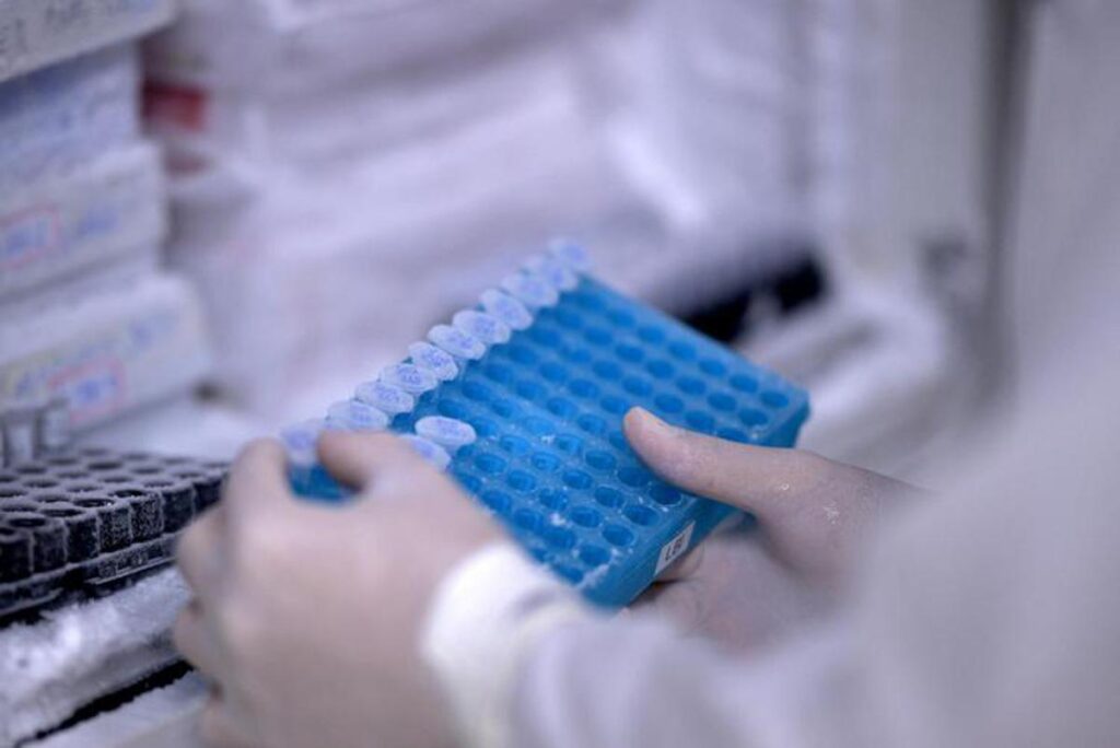 Tumeurs, Cendres 2024 : de nouvelles données consolident l'efficacité des médicaments biologiques en hématologie