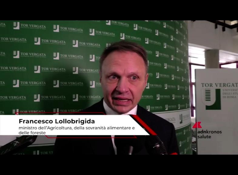 Université, Ministre Lollobrigida: "La nouvelle filière de médecine vétérinaire intègre les besoins de formation aux besoins du tissu productif"
