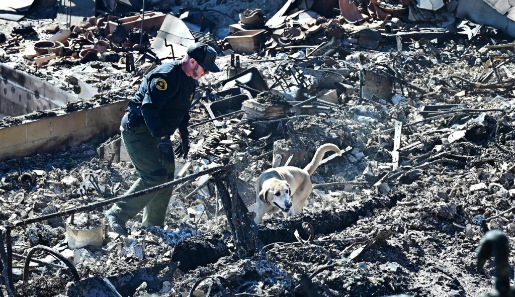 Incendies à Los Angeles, 24 morts et l'urgence continue