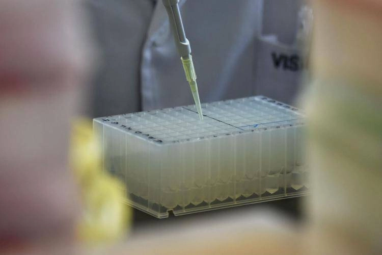 Nouveau coronavirus découvert en Chine: ce que Rezza, Pregliasco, Ciccozzi et Bassetti disent