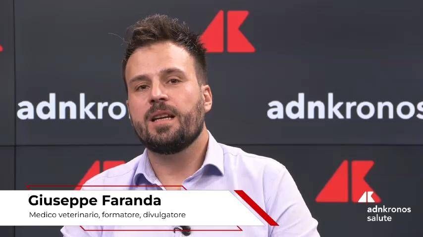 Santé: Le vétérinaire Faranda, «pendant 12 mois, les chiens et la famille ont protégé contre les tiques»