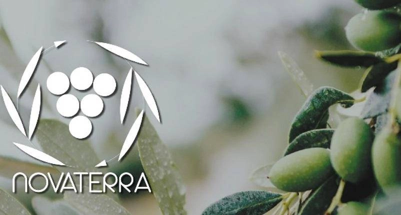 UNROL, avec l'huile «Novaterra» pour la croissance durable des olives