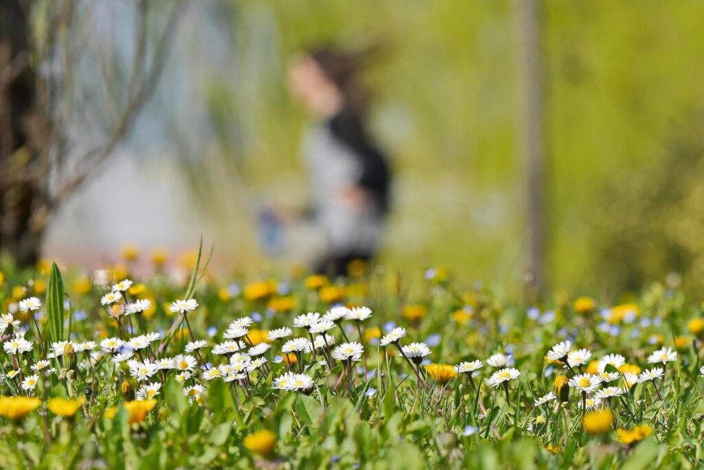 D'après les allergies du sommeil, voici les «affirmations» du printemps et comment les gérer