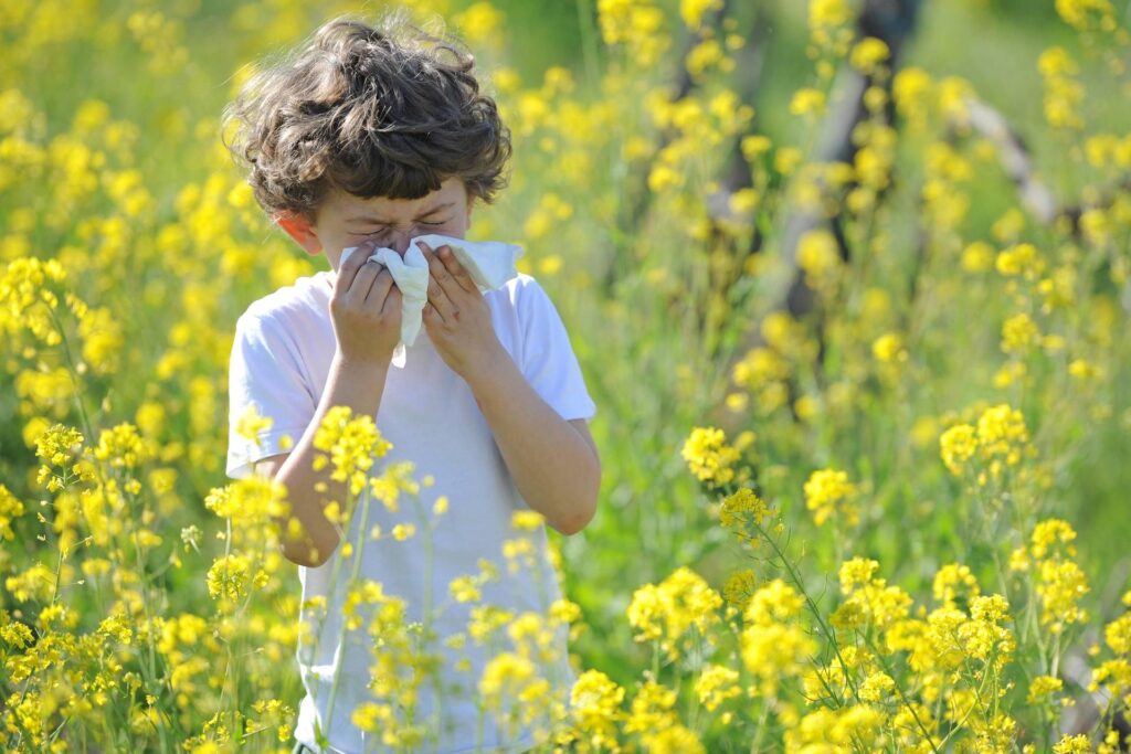Nez fermé, éternuements et larmes: les allergies printanières arrivent. Comment les reconnaître et quoi faire