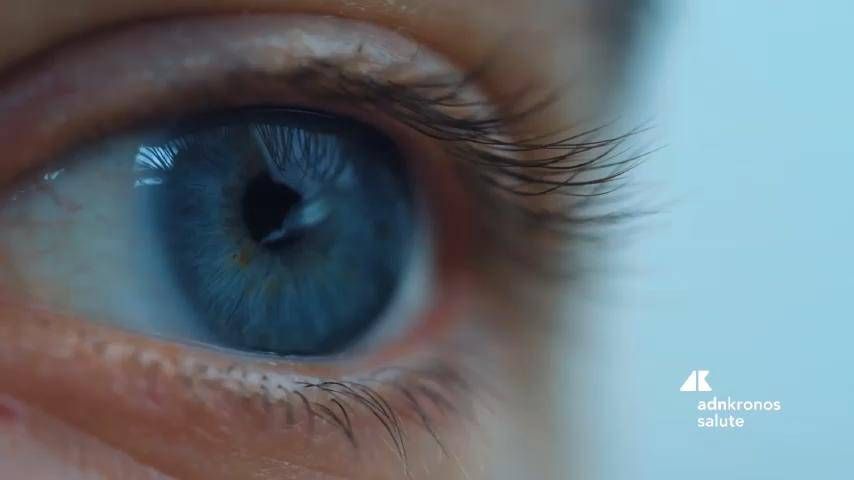 Pathologies rétiniques et dégénérations vitreuses