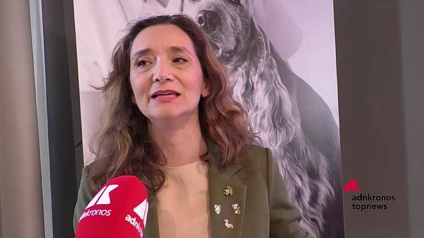 Alimentation pour animaux de compagnie: Bracci (Royal Canin), «Nutrition fondamentale pour le bien-être 4 -gged« Well -Being »