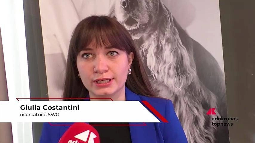 Alimentation pour animaux de compagnie: Costantini (SWG), «propriétaire d'animal plus conscient de l'alimentation de l'importance»