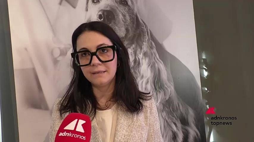 Alimentation pour animaux de compagnie: Vecchiato (Unibo), «aliments fondamentaux pour la santé animale»