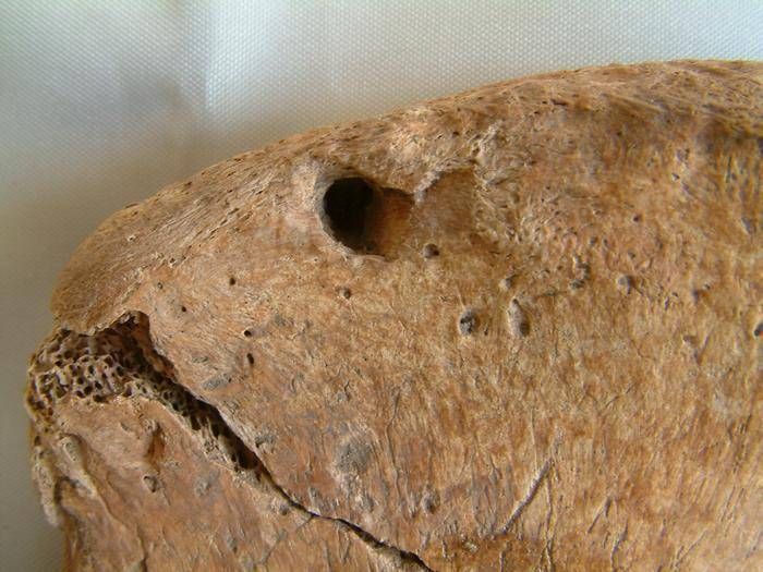 Le gladiateur de York et le lion, dans le squelette la preuve des luttes d'hommes-animaux