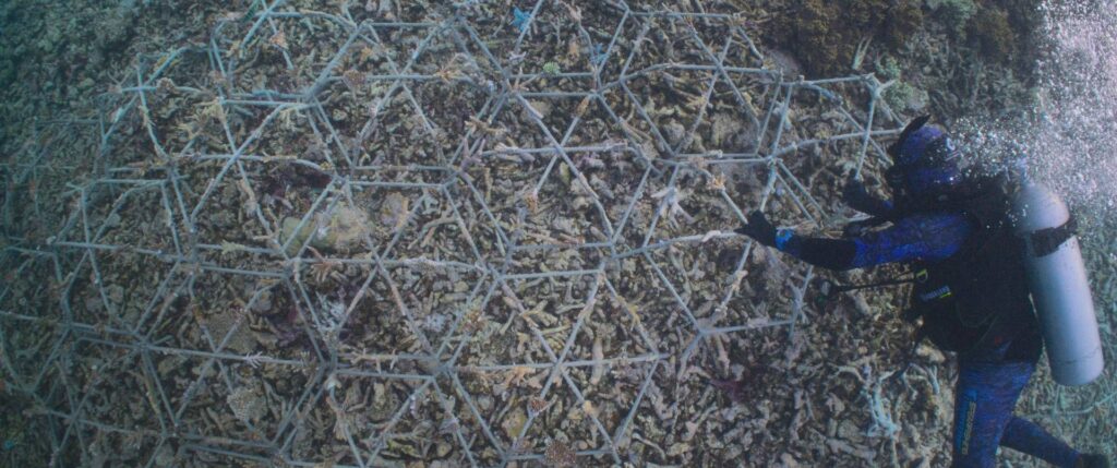 Restauration de récifs coralliens, les constructeurs de récifs documentaires sur des vidéos privilégiées