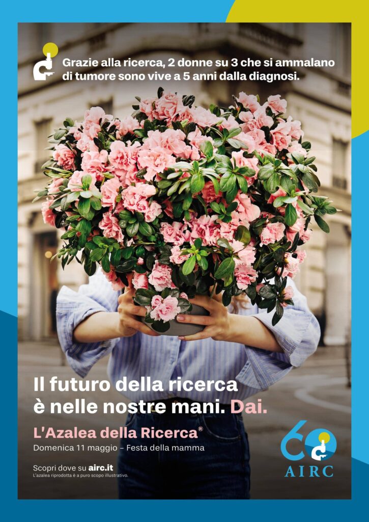 Airc Research Azalea revient à s'épanouir pour la santé des femmes