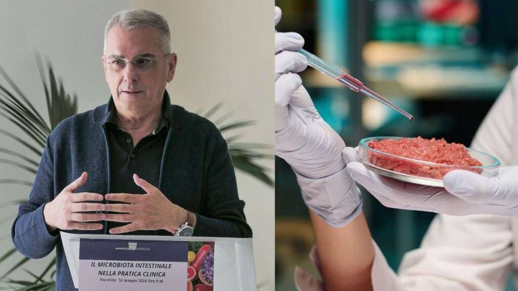 Hamburger Day, meilleur naturel ou synthétique? Le docteur nutrialiste répond