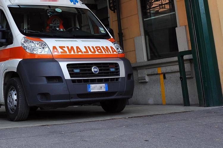 Pistoia, grand-mère et petite-fille attaquée par trois pitbulls: ils sont tous les deux sérieux