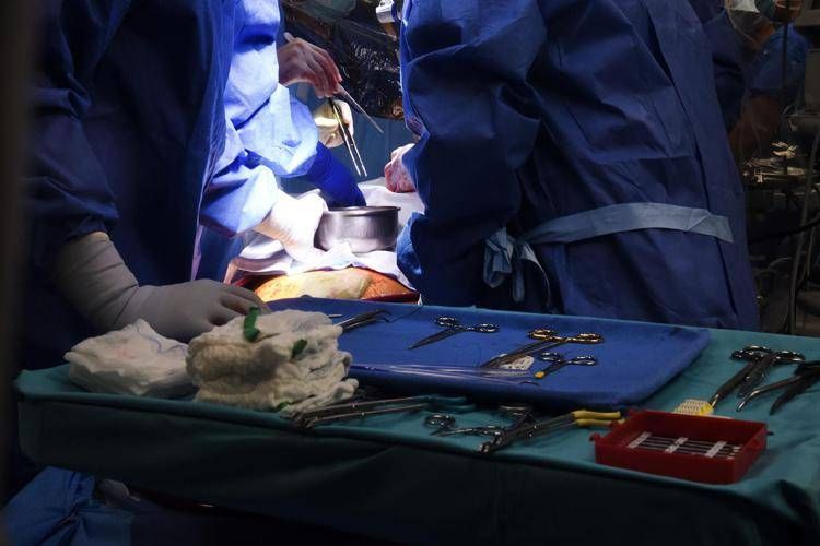 Transplant, dans PISA World Event, Premières directives Donateur de sécurité Donateur rénal
