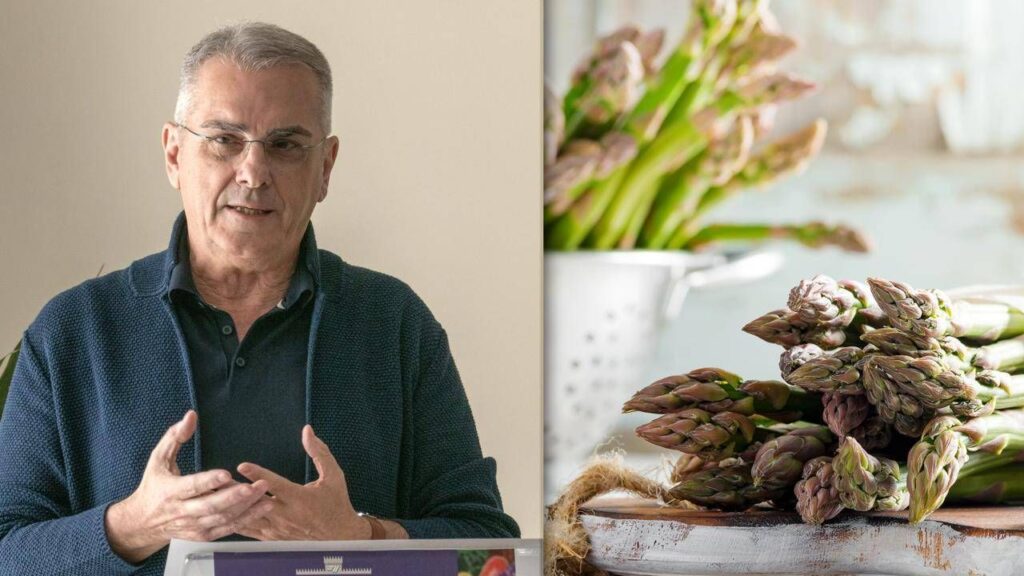 Asperges Amis du cœur, de la peau et des alliés dans le test de costume, l'immunologue explique pourquoi