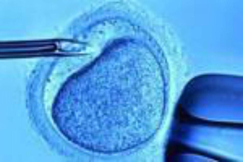 Fertilisation, mères sans bombes hormonales avec moins de risques d'avortement: `` Retour plus de 40 ''