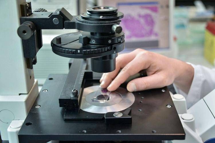 Le cancer du sein, des anticorps conjugués en première ligne ralentit la maladie