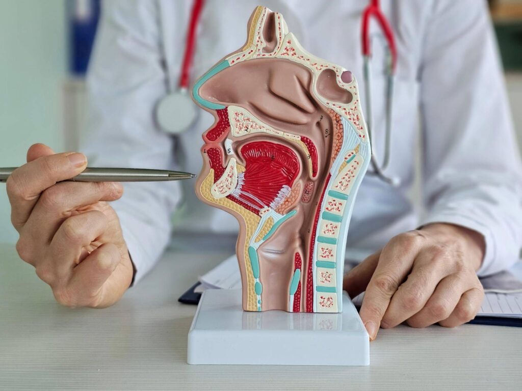 Carcinome du rinophryngal, l'UE approuve le tislizumab plus de chimiothérapie en première ligne