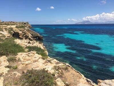 Des méduses aux espèces de «réfugiés climatiques», Boero (CNR-Sias): «Je vais expliquer comment les respecter sans crainte»