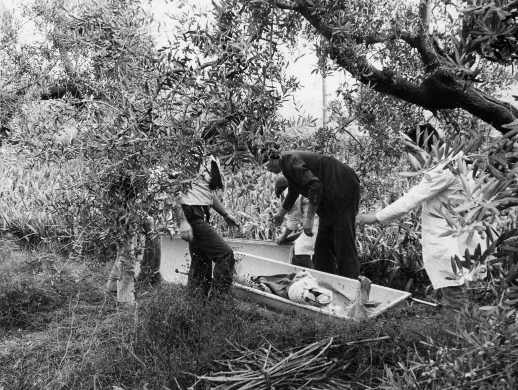 Monster of Florence, un nouveau mystère sensationnel: l'enfant qui a échappé au crime n'est pas le fils d'Apple