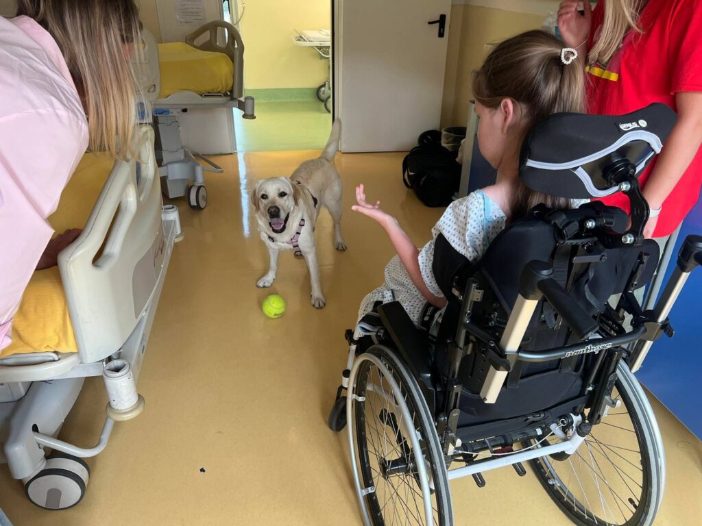 SMA, chez Bestta Studio Benedi Pet Therapy avec Purina et Frida's Friends