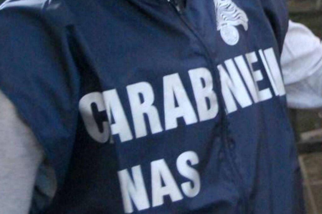 Botulique, saisi dans le NAS de plus de 600 kg de conserves et de jus à risque